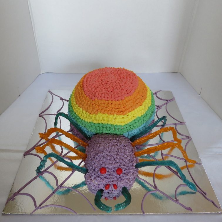Rainbow Spider